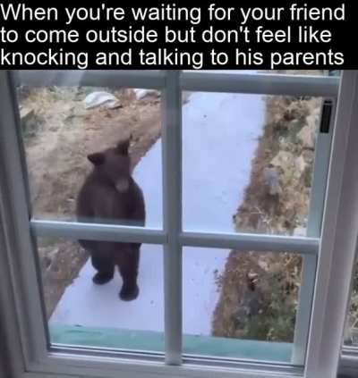 Don’t do this to me bro