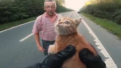 This poor sweet baby stranded in the middle of the street