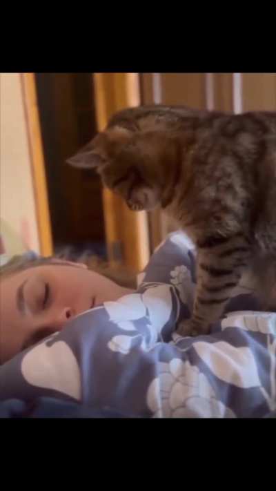Hey, Good Morning