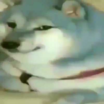 Im blu