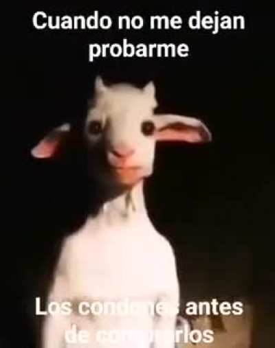 Yo cuando