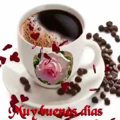 Buenos dias chat
