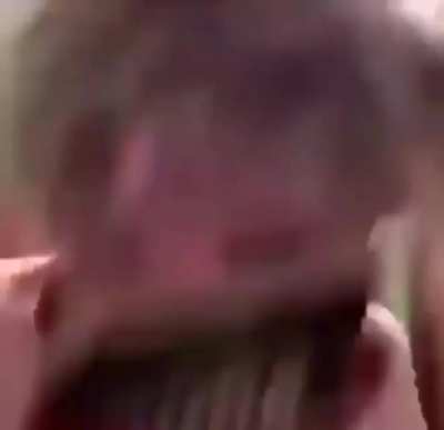 me seeing someone on QoL trying to say ill show you is the best song on EP