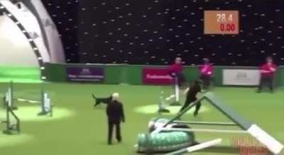 They did their best