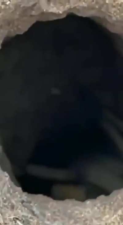 The inside of a hole in the ground has an unexpected surprise.. someone is at home..