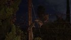 Heard weird noises at 1 AM - there are 3 raccoons having a fight on our power lines