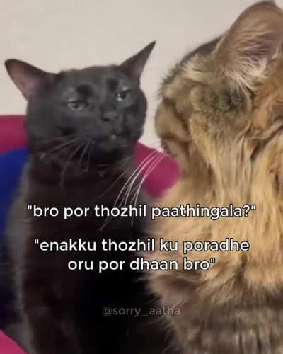 how's por thozhil?