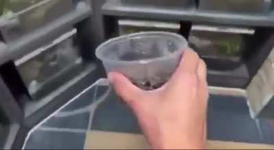 Maybe maybe maybe