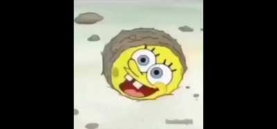 Hi squidward wanna play?