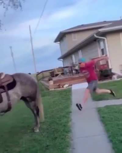 Of a horse with no name