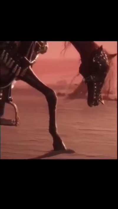 poor horse :(