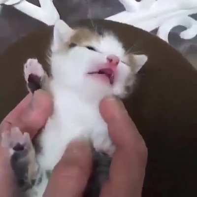 Cute Jerry