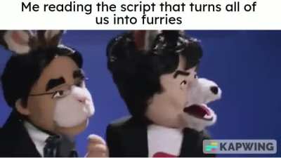 Losercity Script