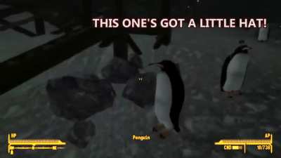 Penguins are cute