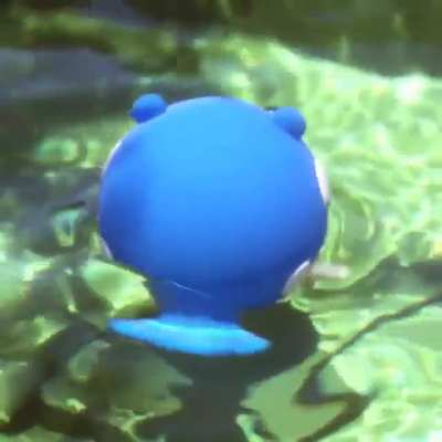 This reddit need a wholesome post have a spheal spinning