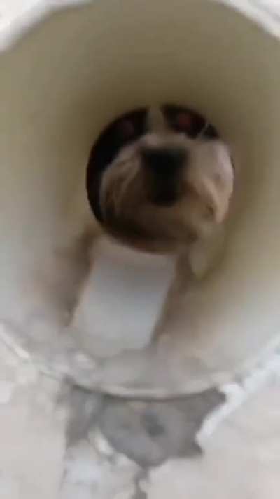 Glory..Gory Hole
