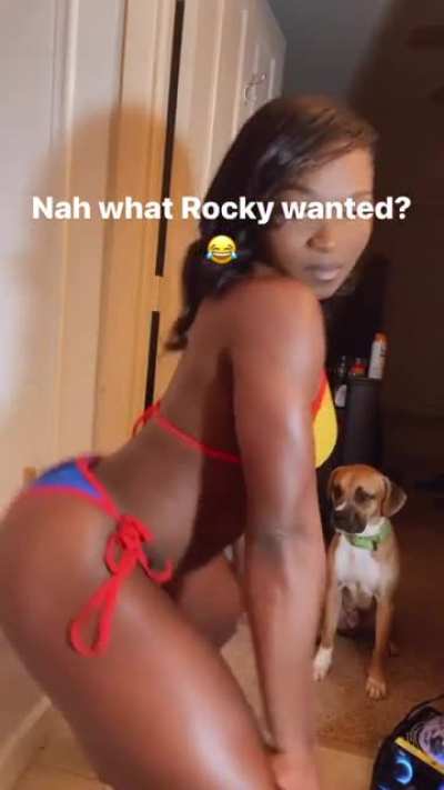 🐶