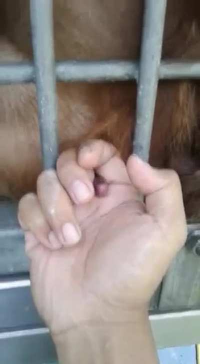 Hand model