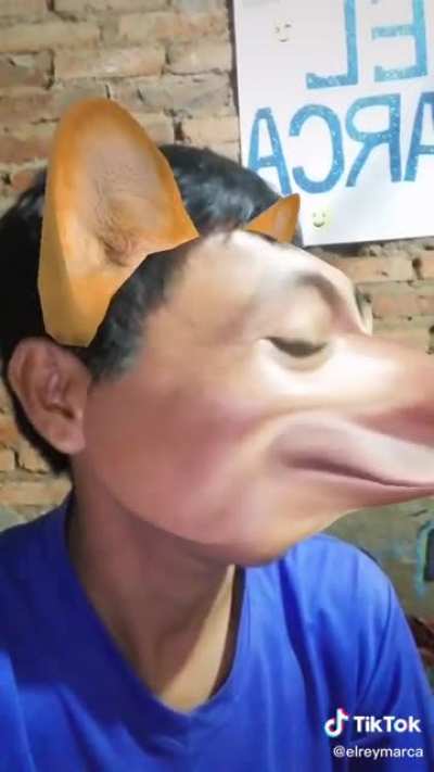 Pucha