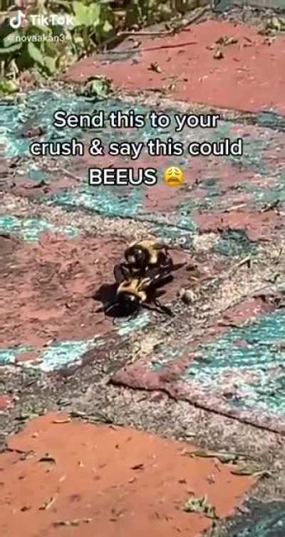 Who would actually send this to another human being