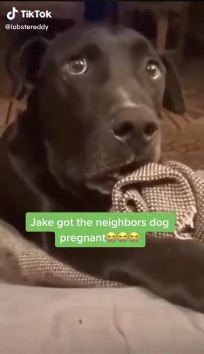 Jake is gonna be a father...