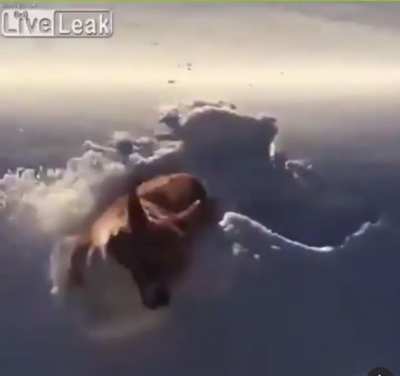 Skydiver