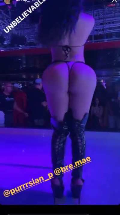 Purrsian_p