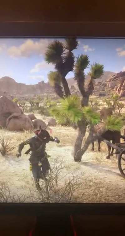 Found a dancing tree (Had to delete account and repost)