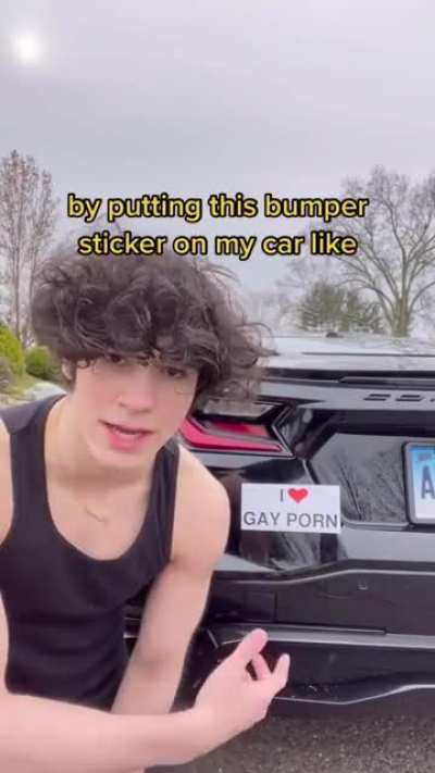 Bumper Sticker