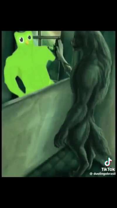 Duolingu