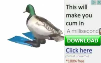 Rule