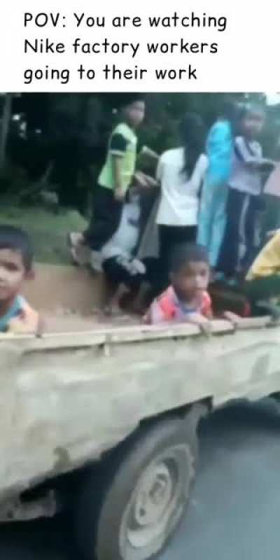 they are hard working