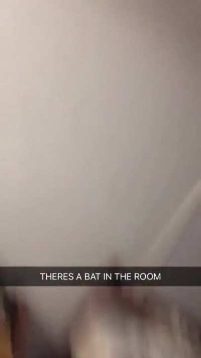 Everyone is tough until the bat starts flying