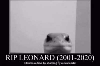 Fell 😞. But ain’t fall off 😤, remembered in hearts Leonard.