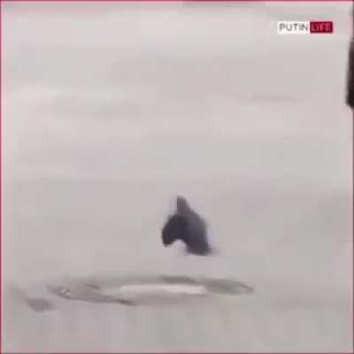 An american spy undercover in russia waves at president putin