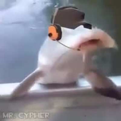 you know the rules