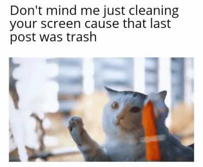 Cats Rule.