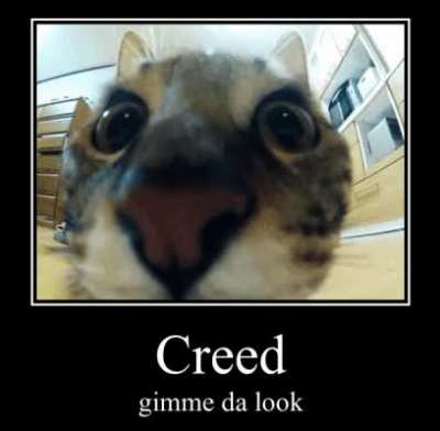 Ay Yo Creed?