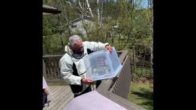 At making a bird release video.