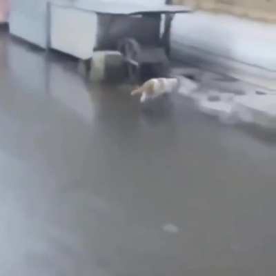 Когда делаешь вид, что так и хотел, лишь бы не казаться идиотом