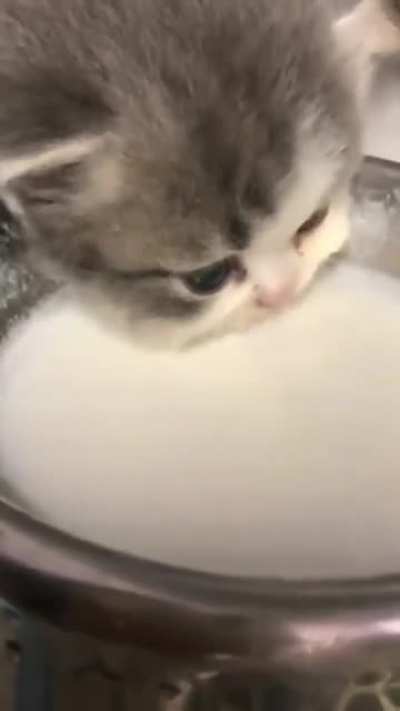 çok tatlı ya