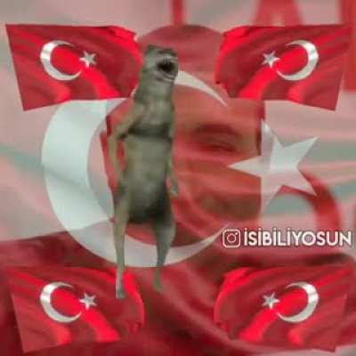 Vatan Kurtarıldı CcC