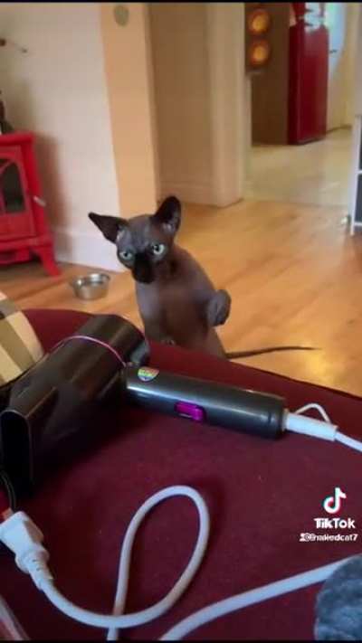 Slap it kitty, slap it!