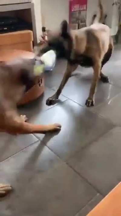A proper tug of war