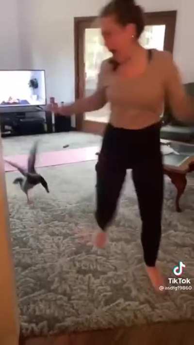LET HER DO HER YOGA, DUDE!