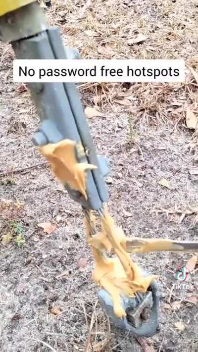 peanut butter