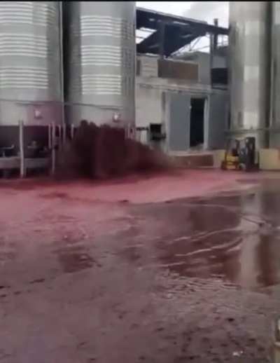 Я столько за всю жизнь и не выпью