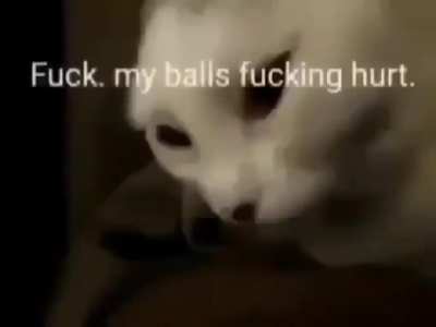 The pain is great