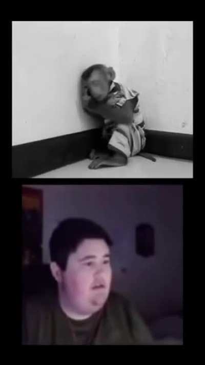 Cat hurt monke, monke cry, cat bad