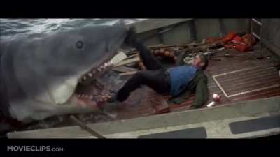 A clip from one of my favorite movies (Spoilers for Jaws if you haven’t seen it)